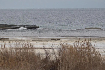 Фотография к новости: Площадь Каспийского моря сократилась на 36 тысяч кв. км