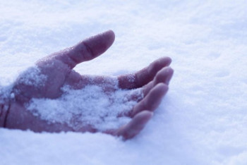 Фотография к новости: Акмолинца нашли мёртвым во дворе собственного дома