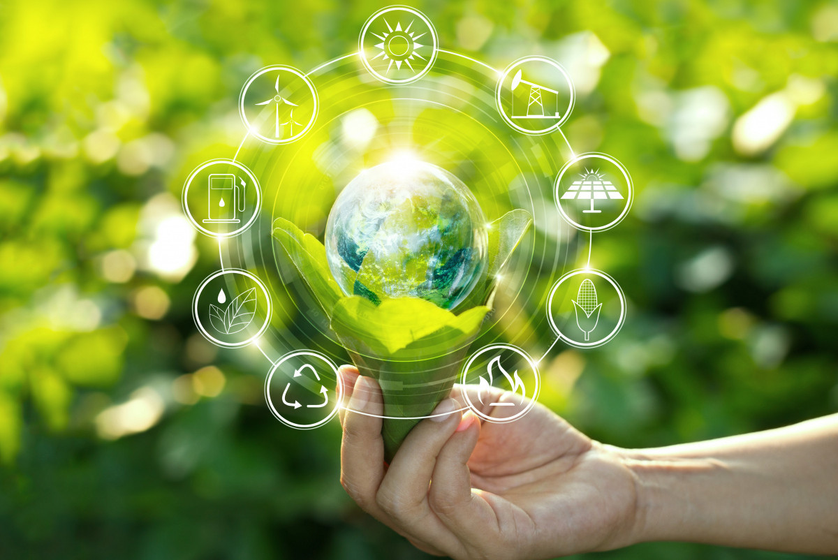 Другими словами: Минэкологии без прикрас —что на самом деле происходит за кулисами ведомства