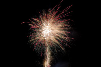 Фотография к новости: Ночная шалость с фейерверками чуть не обернулась пожаром в Шымкенте