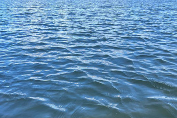 Фотография к новости: Более 60 человек пропали после крушения судна в Конго