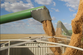 Фотография к новости: Токаев выразил благодарность лидеру Азербайджана за решение снять санкции