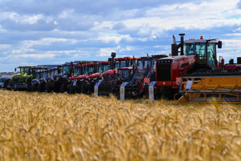 Фотография к новости: Сельхозпродукцию на 1 триллион тенге произвели в Акмолинской области