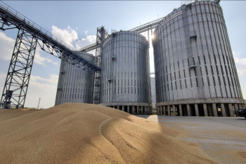 Казахстан будет наращивать поставки пшеницы в Туркменистан