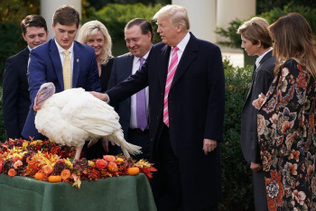 Дональд Трамп и первая леди США проведут церемонию помилования индеек