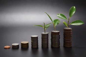 Фотография к новости: Необходимо привлечь внешние инвестиции в медицину — депутат