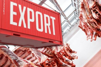 Фотография к новости: "Ограничения разрушают рынок": депутат требует отменить запрет на экспорт говядины