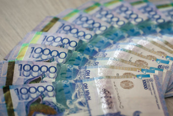 Фотография к новости: Кто в Казахстане имеет право на специальное госпособие в 542 тыс тенге