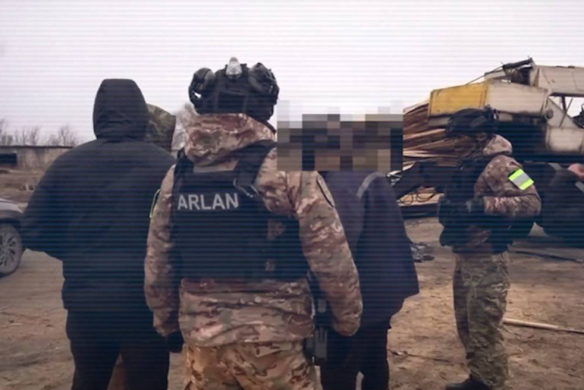 Вырубка сосны обернулась массовыми задержаниями костанайцев