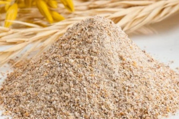 Фотография к новости: Казахстан экспортировал ещё 7 тысяч тонн кормовой муки в Китай