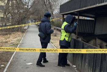 Фотография к новости: Тело новорождённого нашли в Кентау: начато уголовное расследование