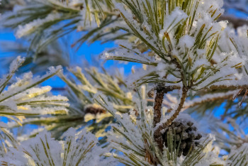 Фотография к новости: Морозы отступают: потепление ожидается в Казахстане