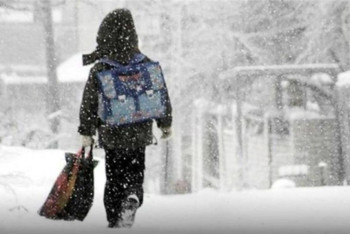 Столичные ученики начальных классов переведены на дистанционное обучение
