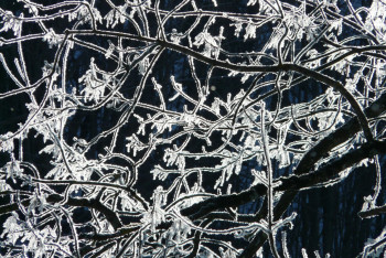 Штормовое предупреждение объявили в некоторых регионах Казахстана