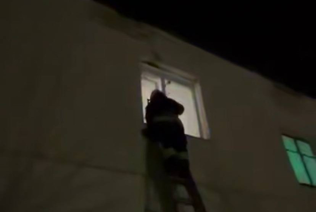 Скриншот видео