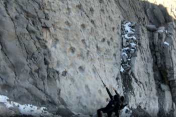 Фотография к новости: В итальянских Альпах нашли тысячи следов динозавров возрастом более 200 миллионов лет