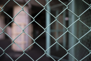 Фотография к новости: В МВД поведали о ходе расследования смерти 23-летней девушки в Караганде