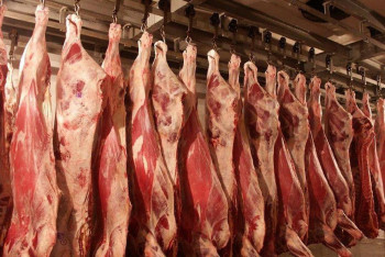 Фотография к новости: Казахстан произвел свыше 1 млн тонн мяса за год