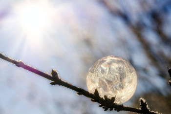 Фотография к новости: Аномально тёплый ноябрь в Казахстане установил новые рекорды