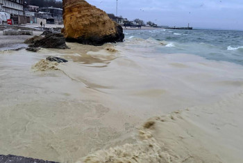 Фотография к новости: Тонны растительного масла попали в Чёрное море после удара по порту под Одессой: гибнут птицы