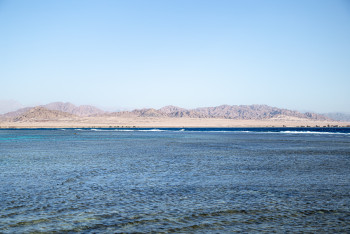 Фотография к новости: Для Северного Арала разрабатывают новый проект развития