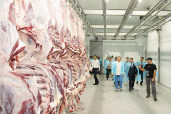 Экспорт говядины и баранины из Казахстана резко вырос