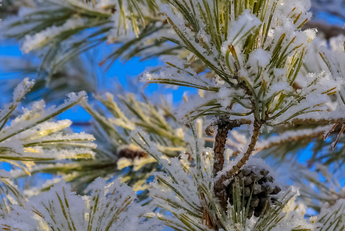 Непогода охватит большую часть Казахстана в канун Нового года