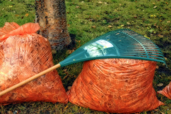 Фотография к новости: Приоритетом для страны в 2026 году останется реализация проекта "Таза Қазақстан"