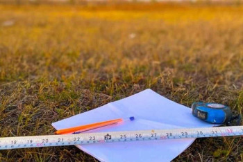 Фотография к новости: 2,1 млн га неиспользуемых земель возвращены в государственную собственность