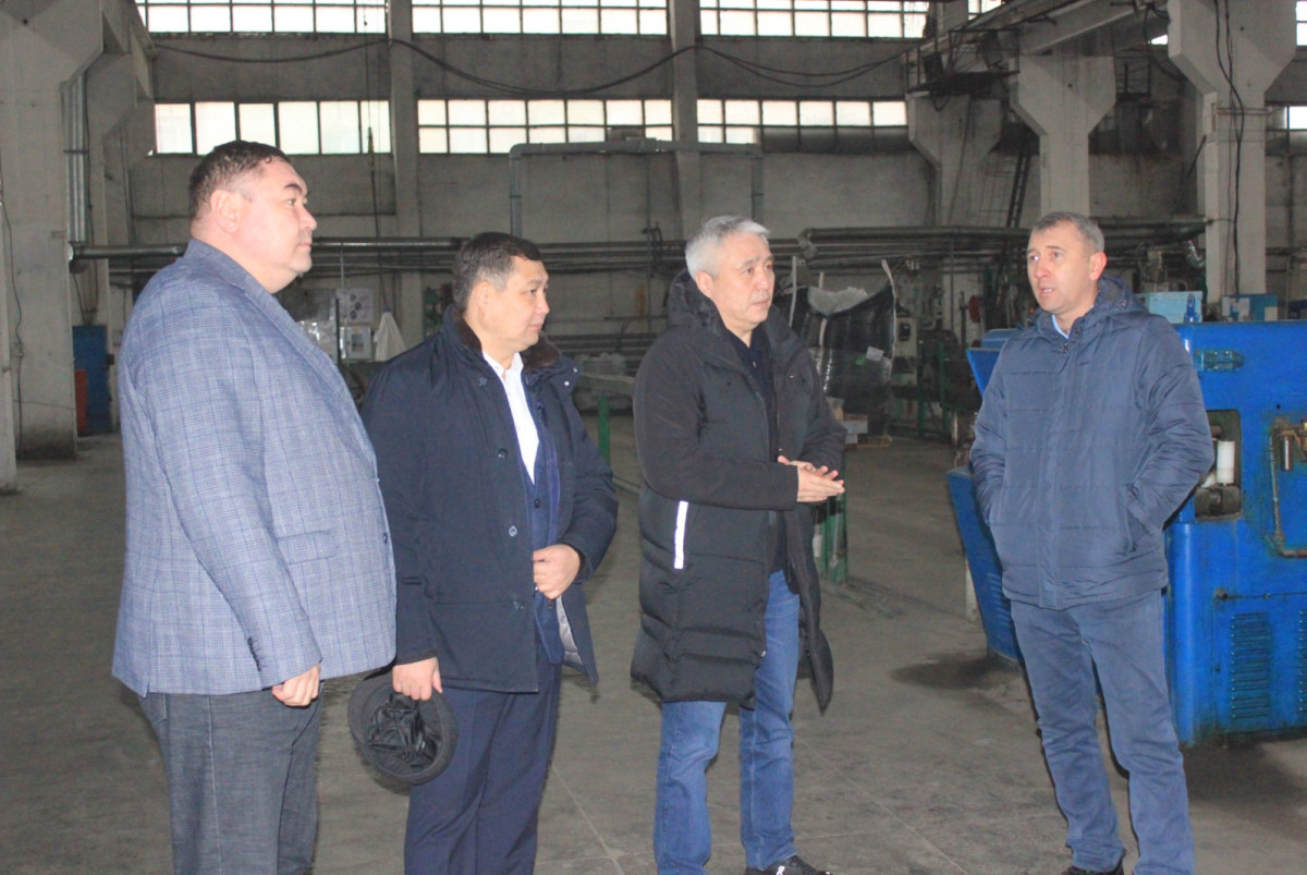 партия "AMANAT"