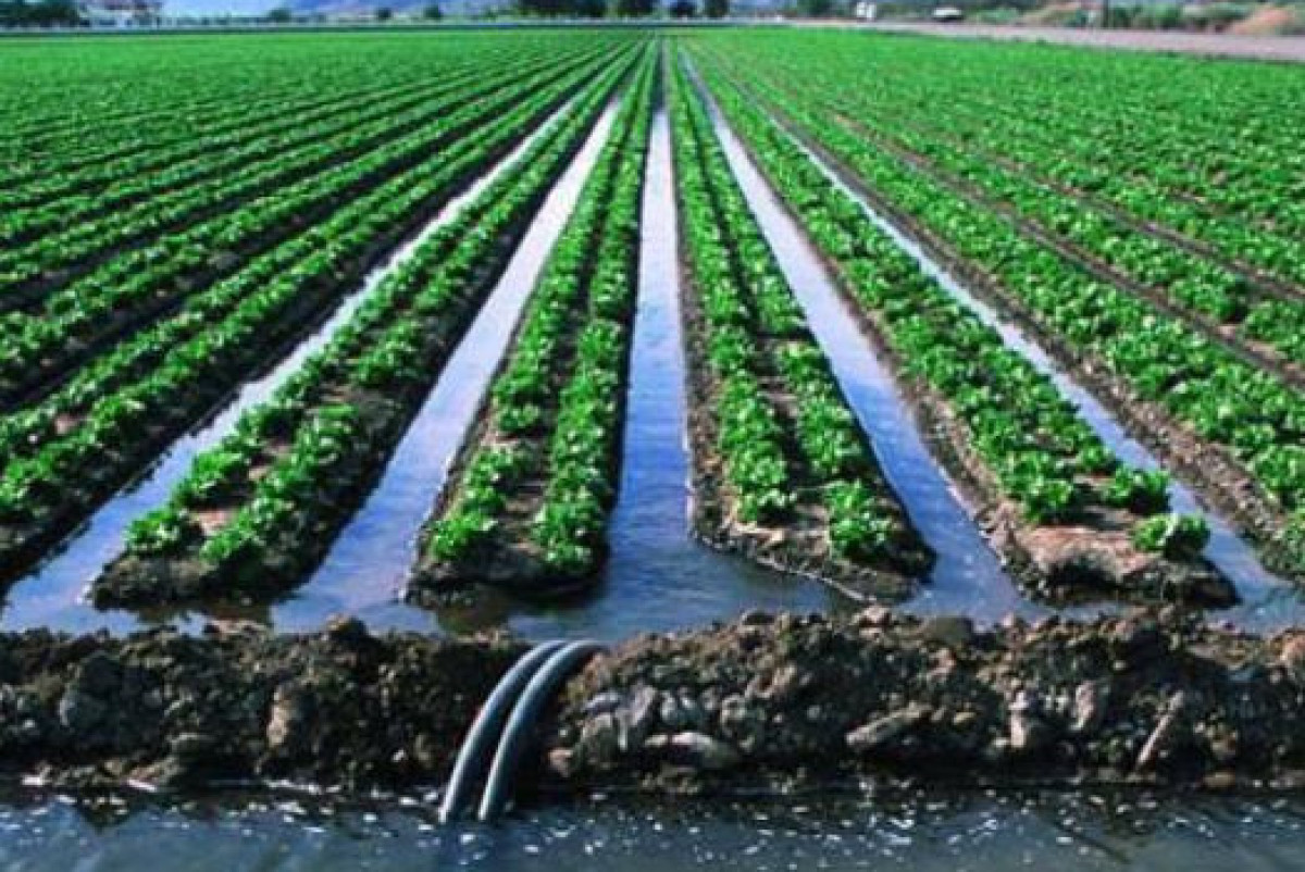 В Казахстане оштрафованы поставщики поливной воды