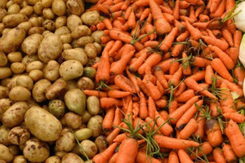 Фотография к новости: Зачем запрещать экспорт, если склады полны? Мажилисмен раскритиковал позицию властей