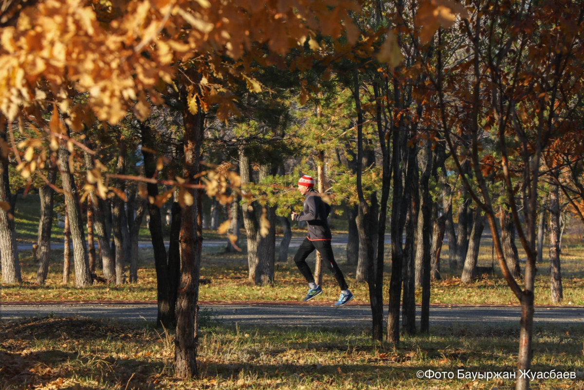 BAQ.KZ – архив