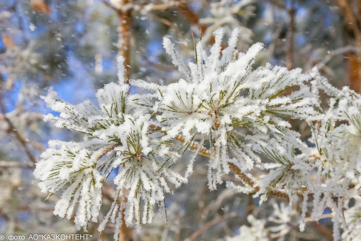BAQ.KZ – архив