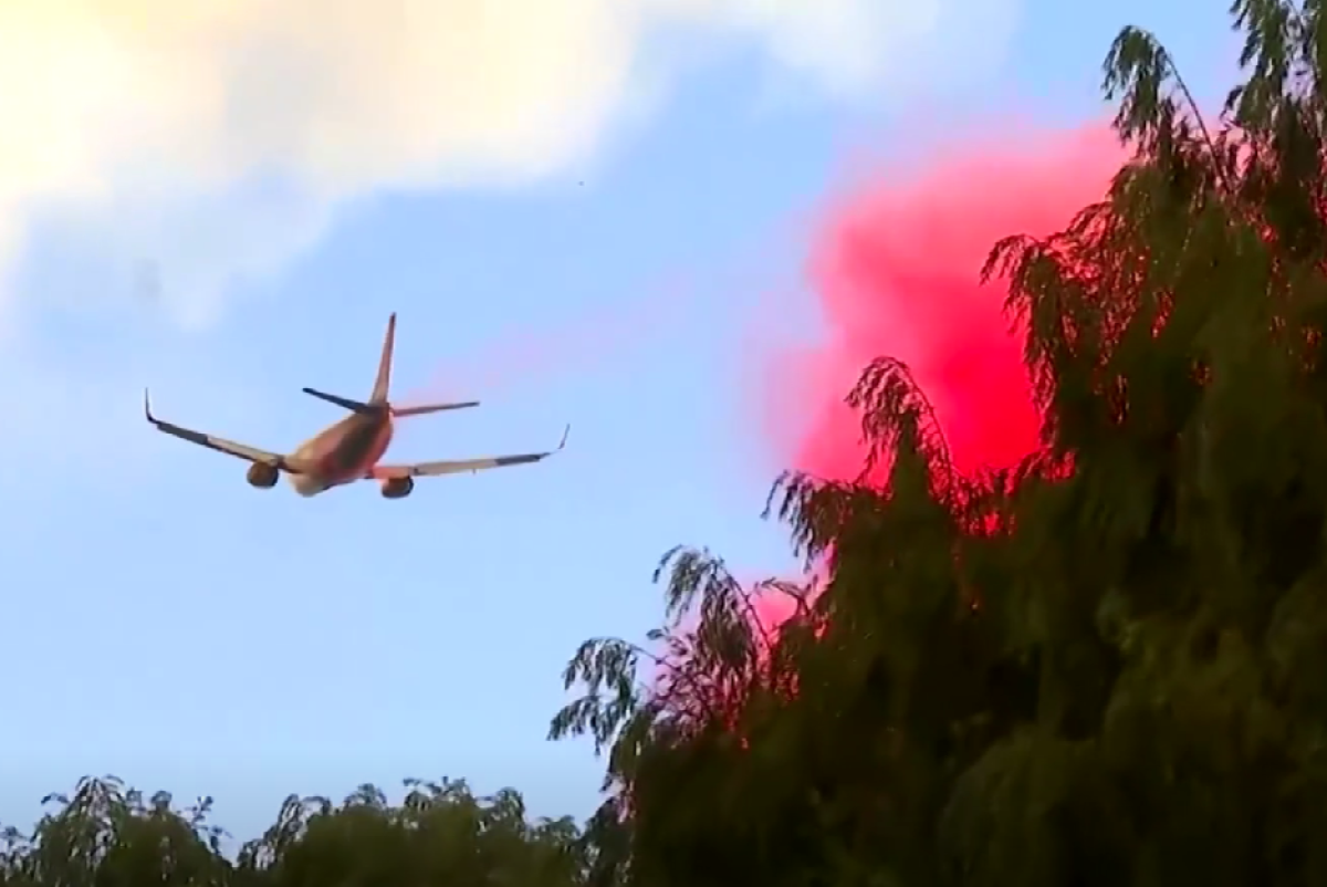 Скрин из видео Reuters