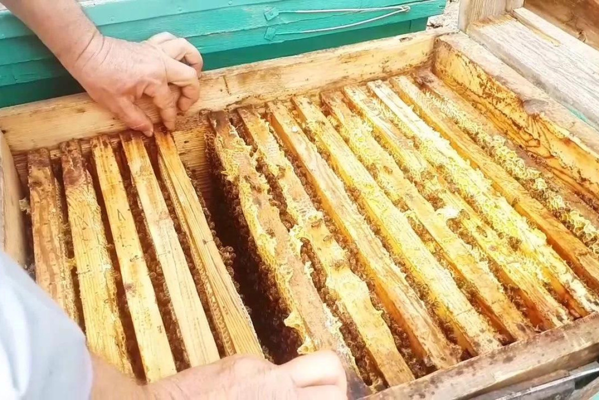 Минсельхоз РК