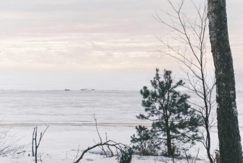 Фотография к новости: Морозам вопреки: как в Павлодаре спасают рыбу и зверей