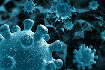 Фотография к новости: Вируса Нипах в Казахстане нет – Минздрав