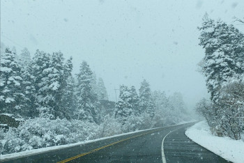 Фотография к новости: Патрульная полиция Мангистау обеспечила безопасность движения более 500 автомобилей