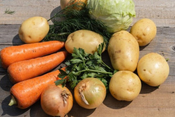 Фотография к новости: В Казахстане увеличат посевы под социальные овощи ради стабильных цен