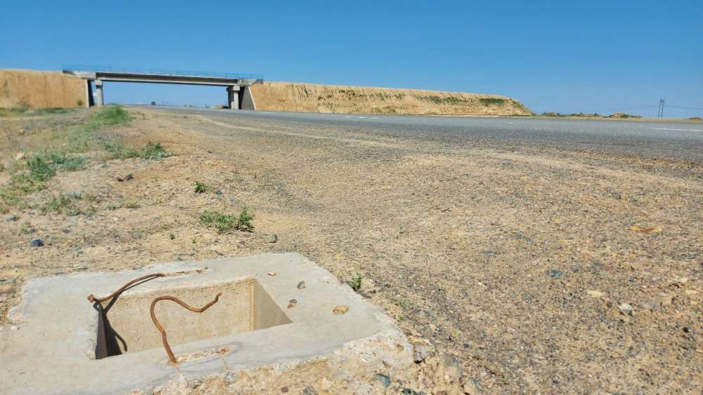 Дархан Нурумбетова