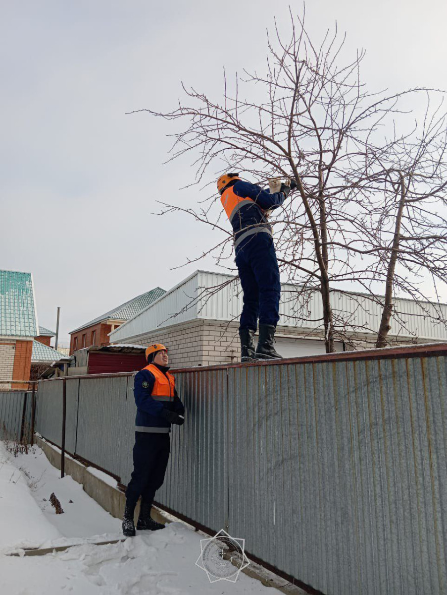МЧС спасает кота в Актобе