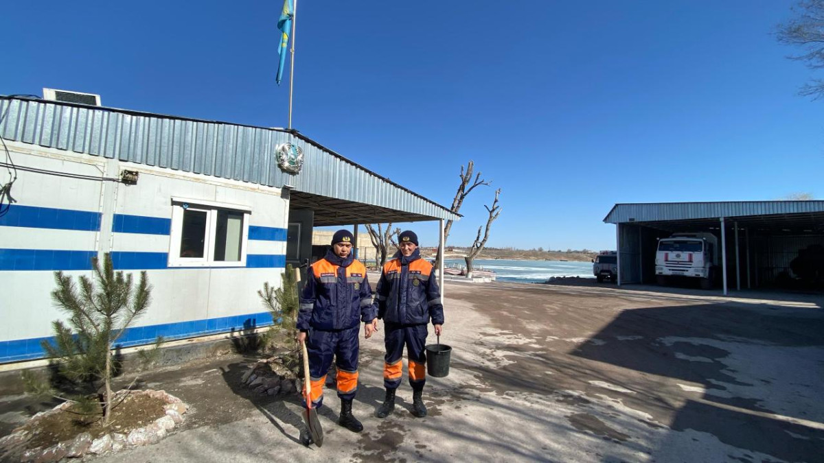 озеленение МЧС