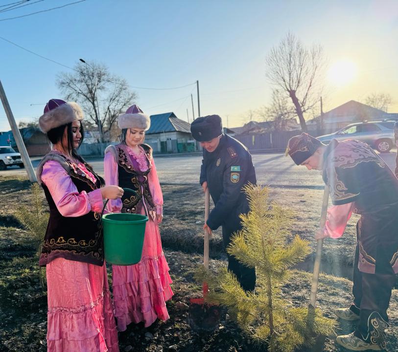 спасатели садят деревья