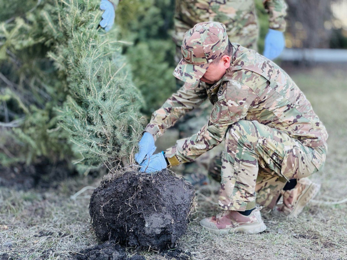 посадка деревьев в Наурыз