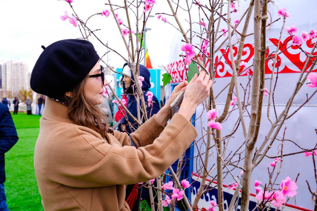 дерево экологических инициатив