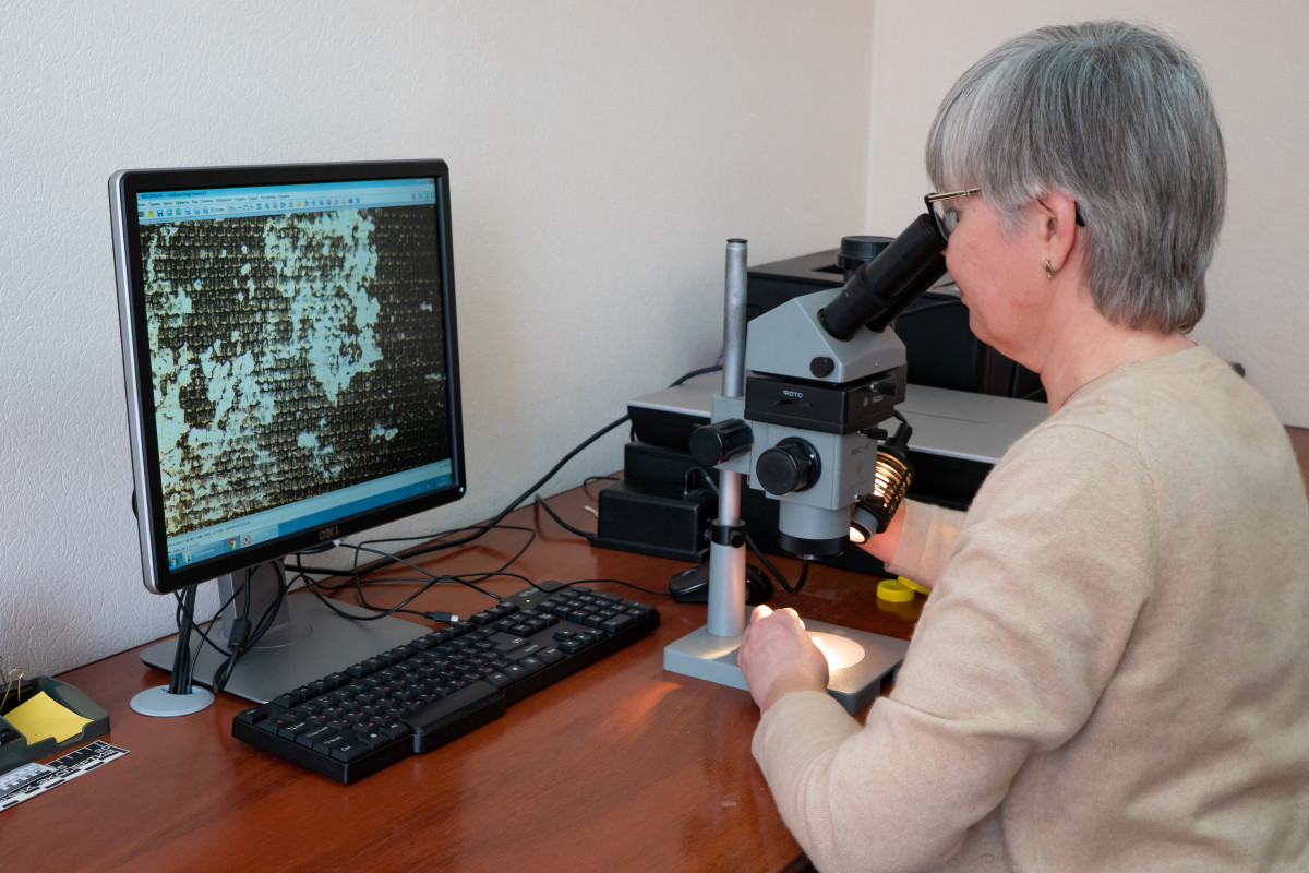 Лада Парамонова за работой