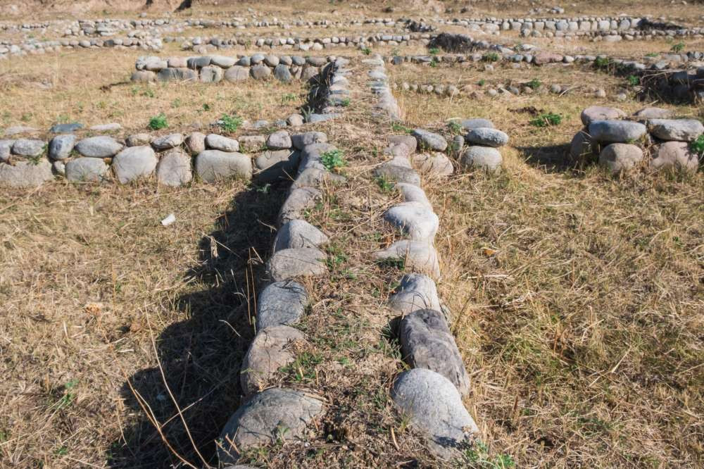 Фото Анели Мажитовой